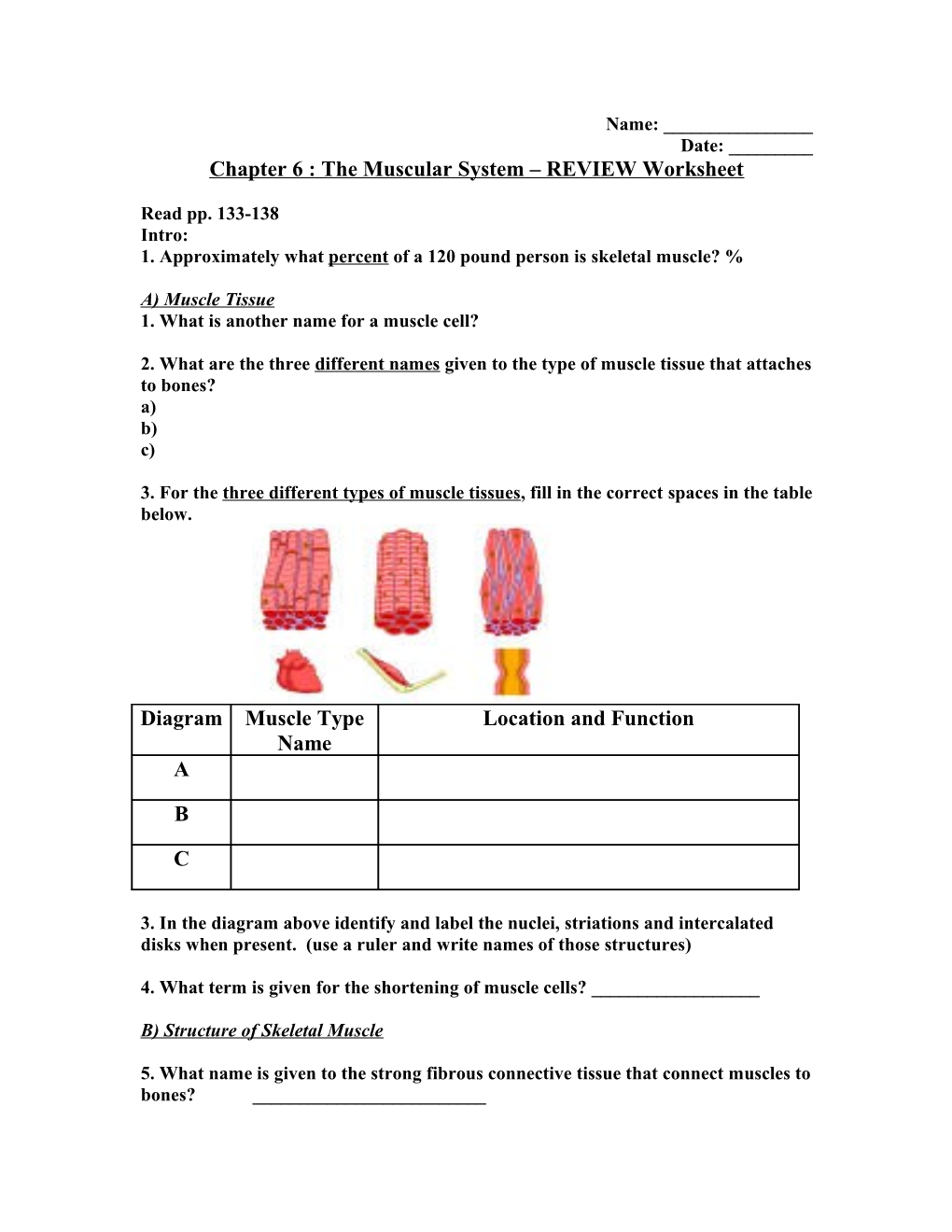 Chapter 6 : the Muscular System REVIEW Worksheet