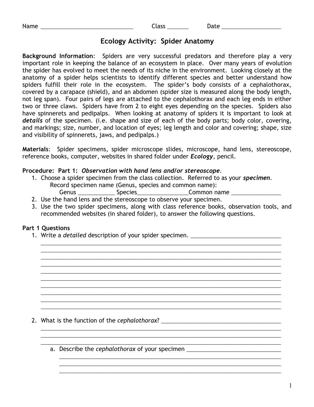 Ecology Activity: Spider Anatomy