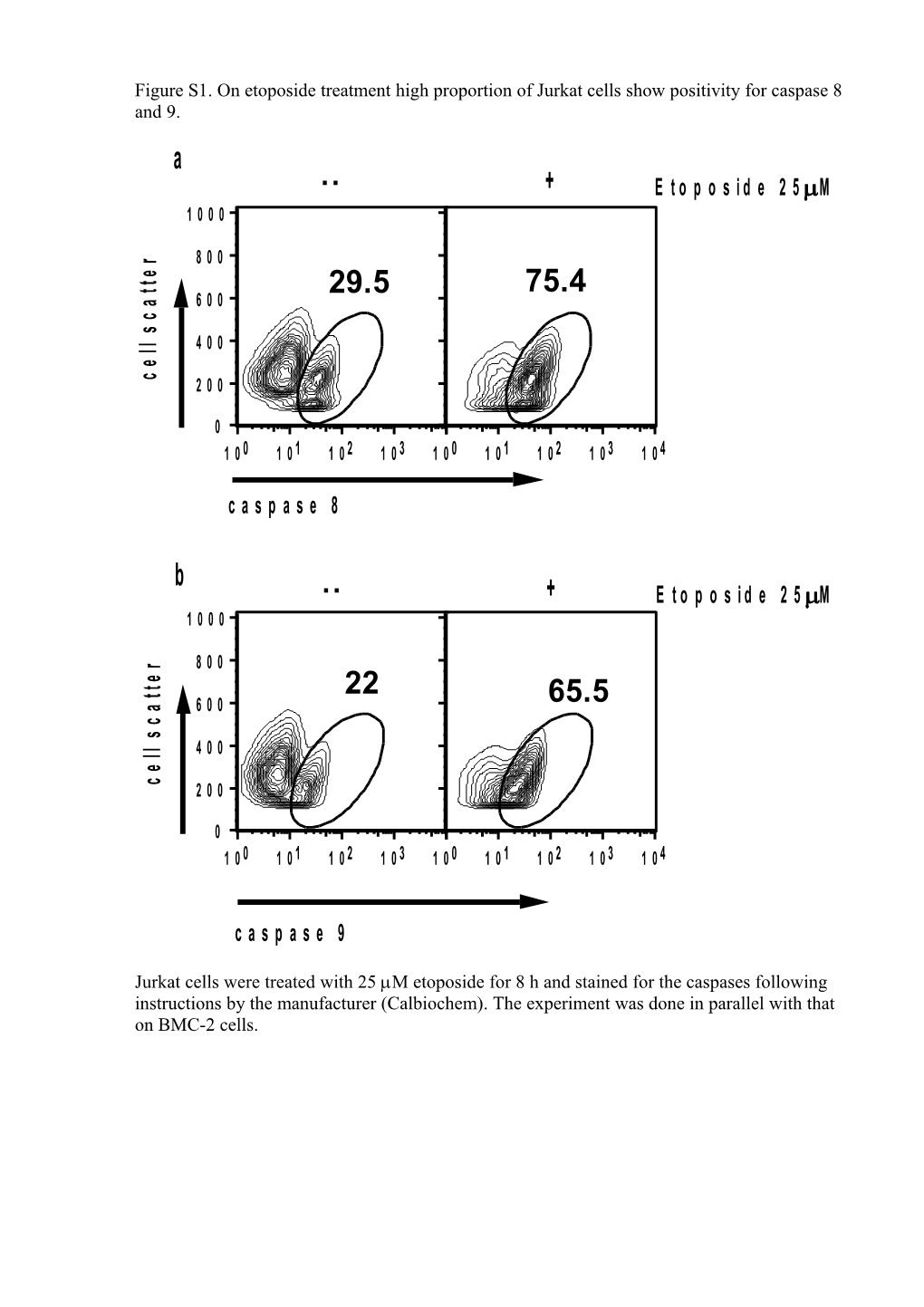 Figure S1. on Etoposide Treatment High Proportion of Jurkat Cells Show Positivity for Caspase