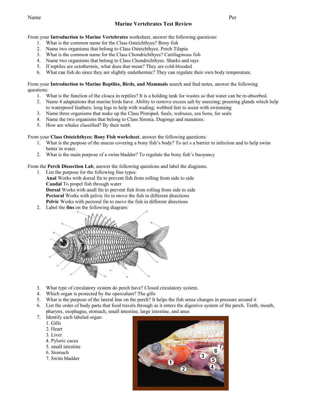 Marine Vertebrates Test Review