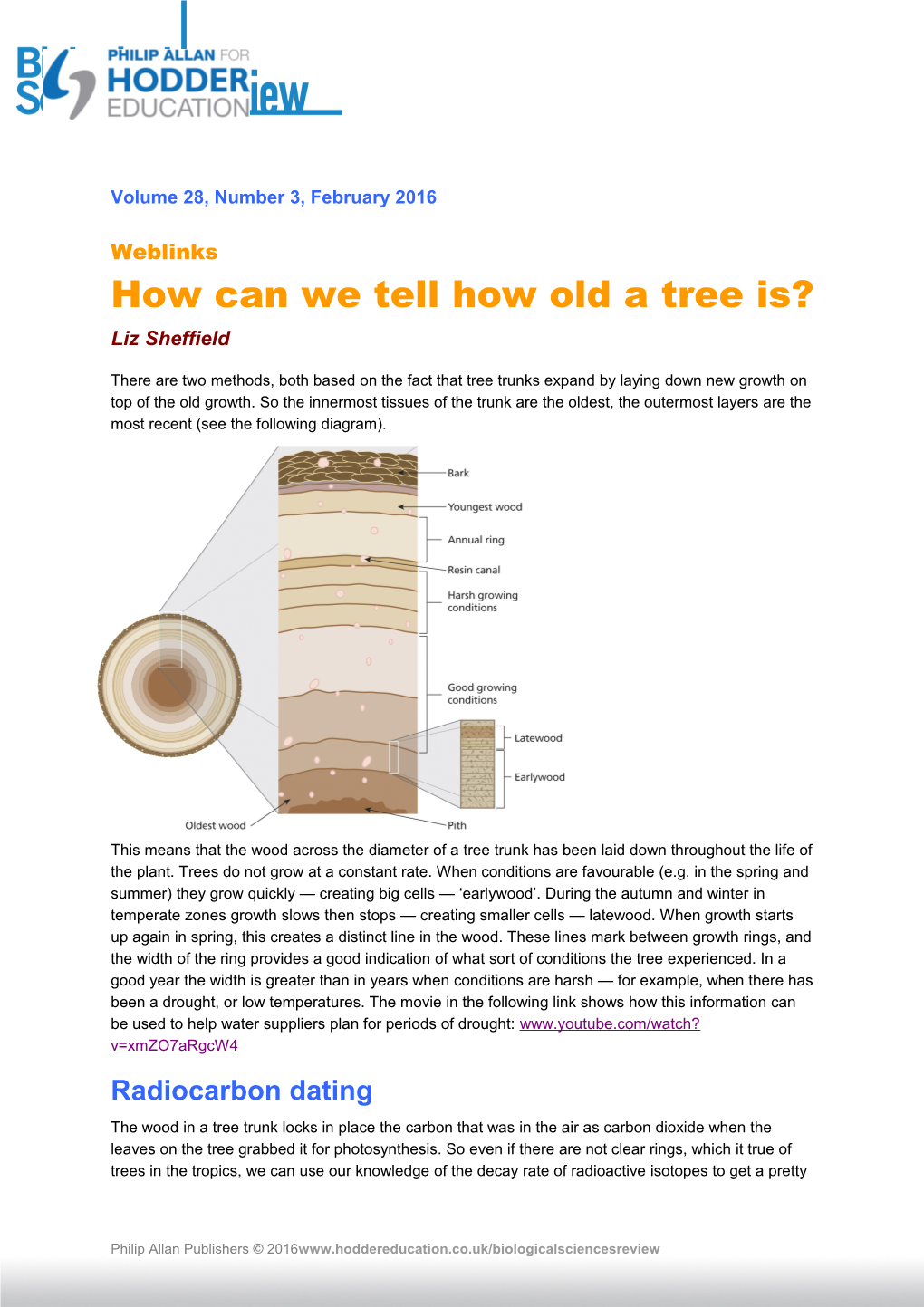 How Can We Tell How Old a Tree Is?