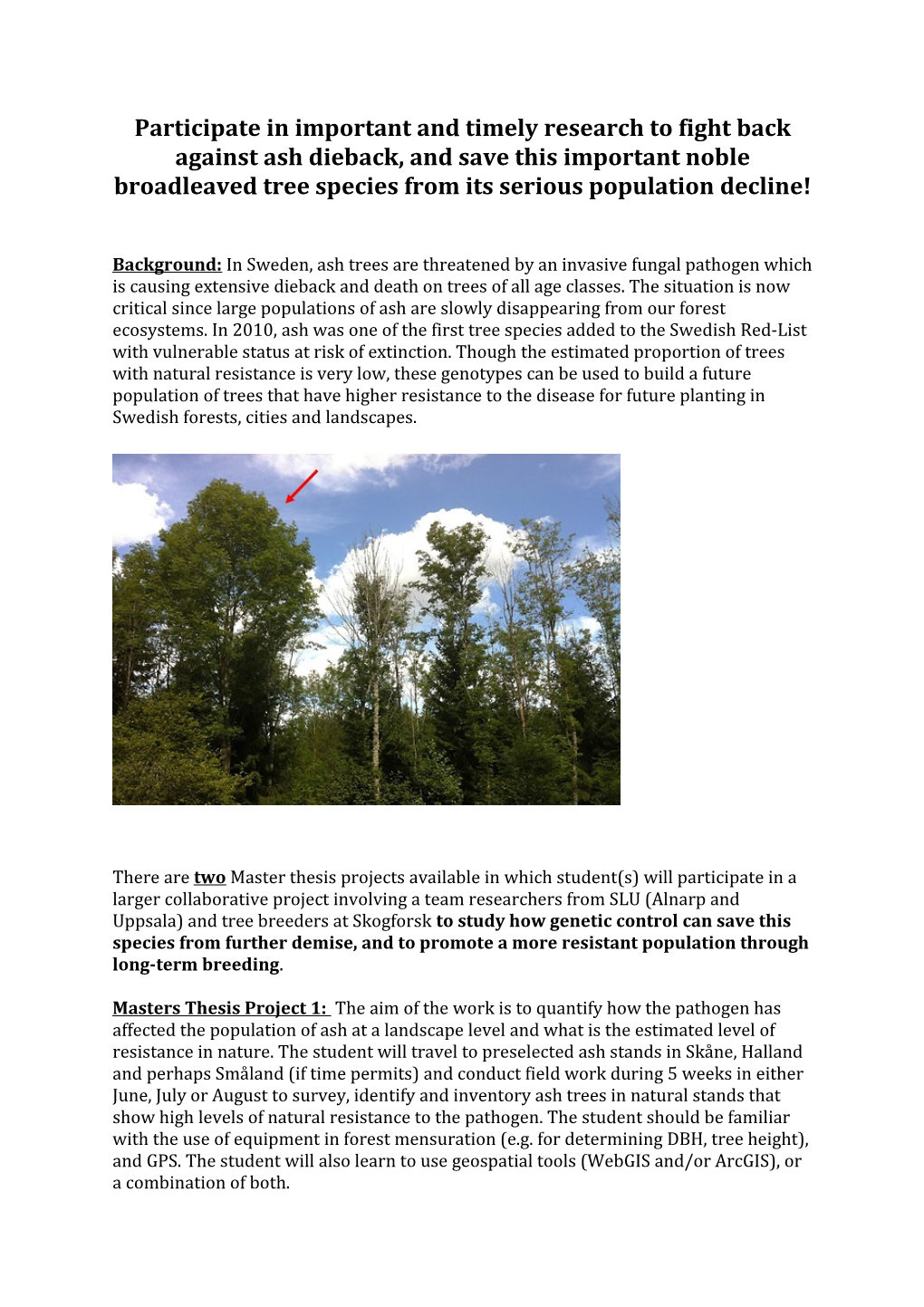 Participate in Important and Timely Research to Fight Back Against Ash Dieback, and Save