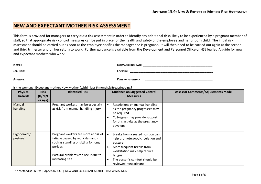 Appendix 13.9: New & Expectant Mother Risk Assessment