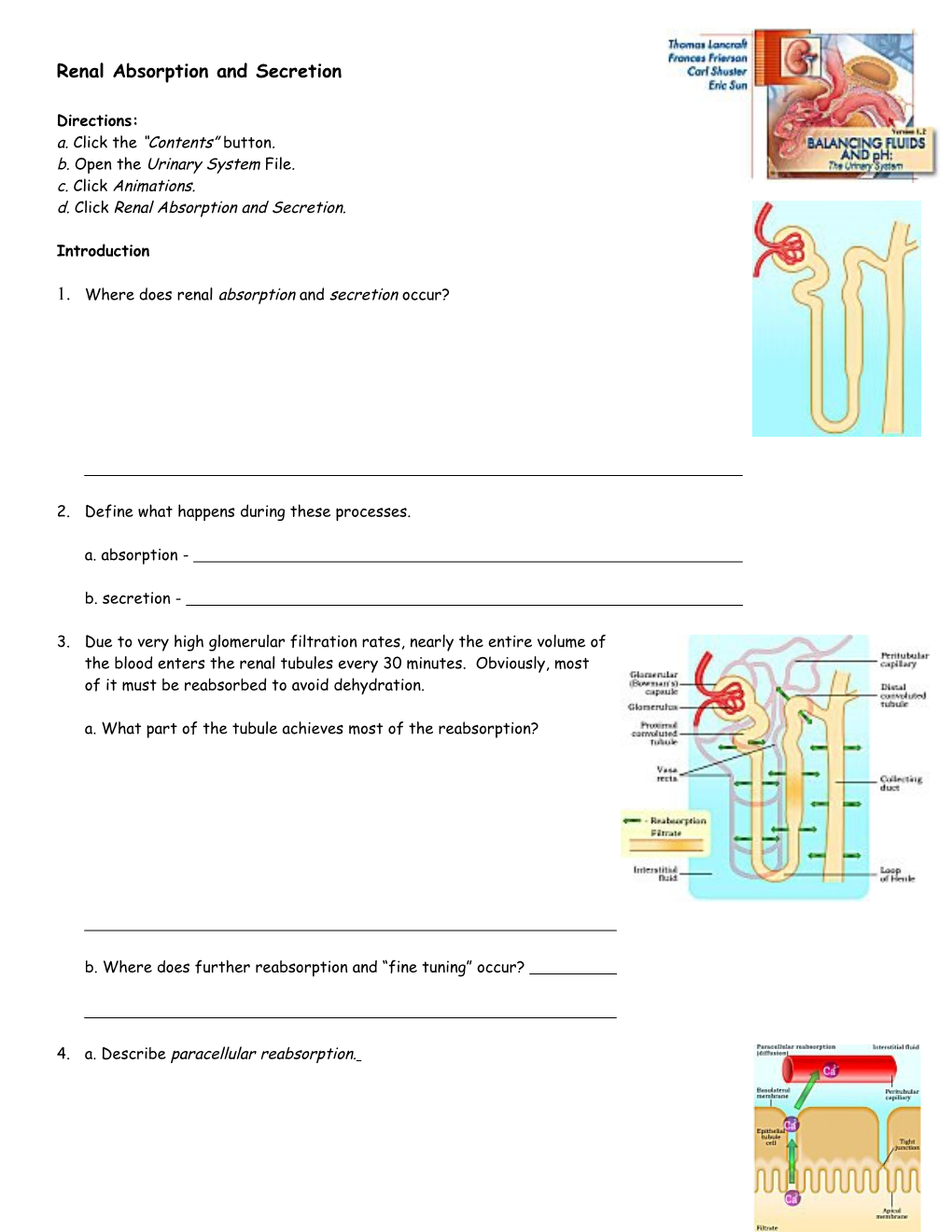 Endocrine System: Overview s3
