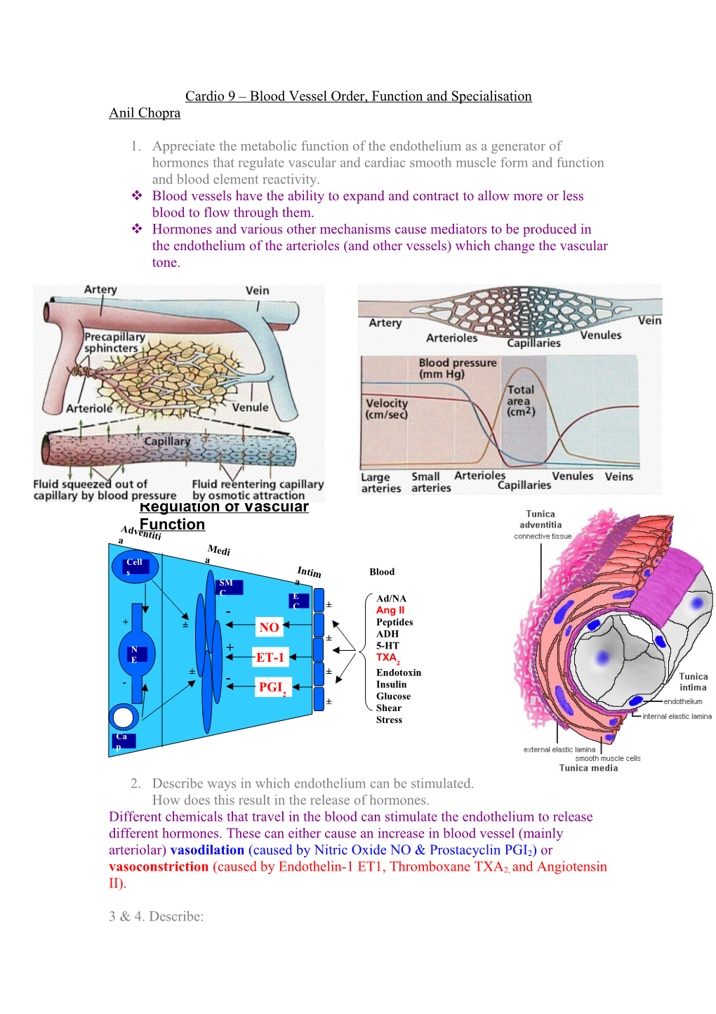 Cardio 9 Blood Vessel Order, Function and Specialisation