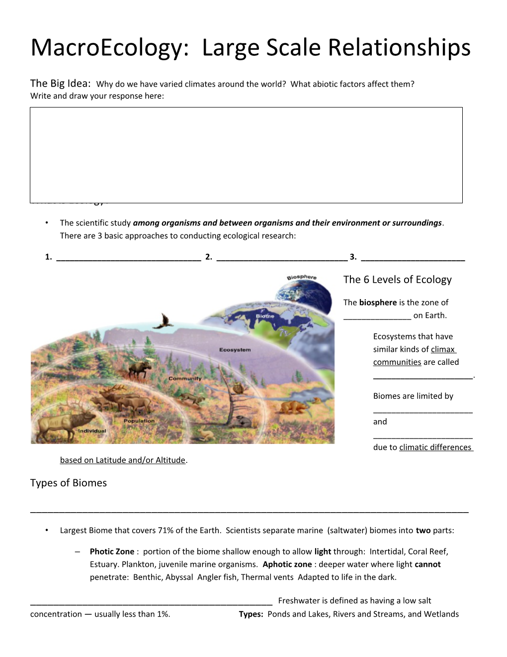 Macroecology: Large Scale Relationships