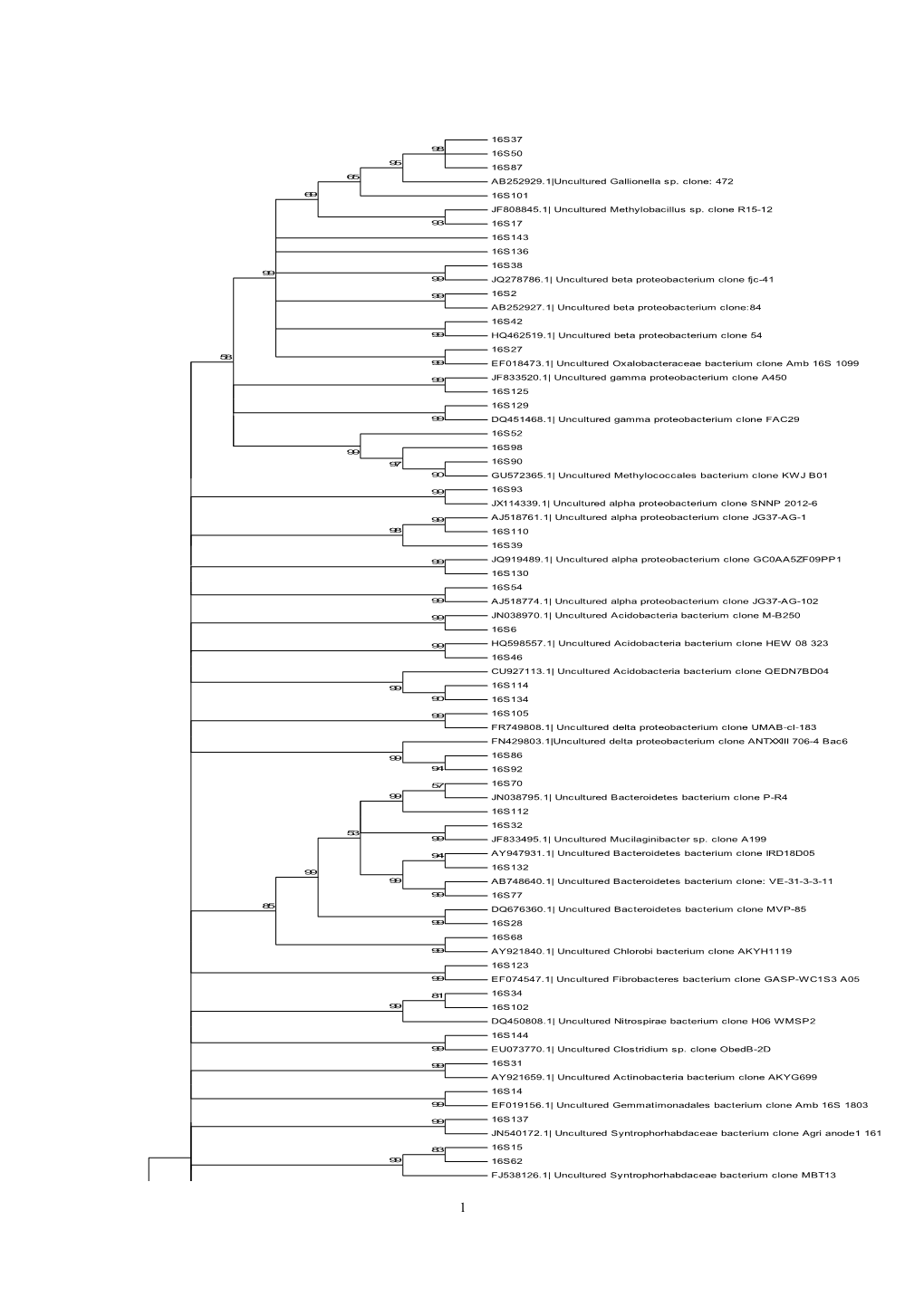 Figure 2. Neighbor-Joining Tree Based on 16S Rrna Gene Sequences Showing the Phylogenetic