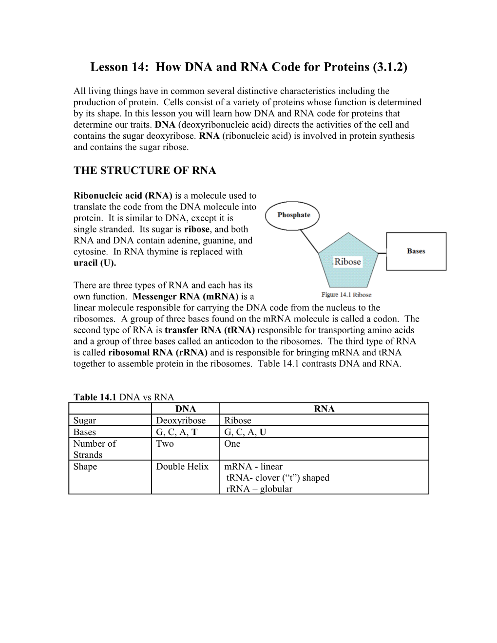 Lesson 14: How DNA and RNA Code for Proteins (3