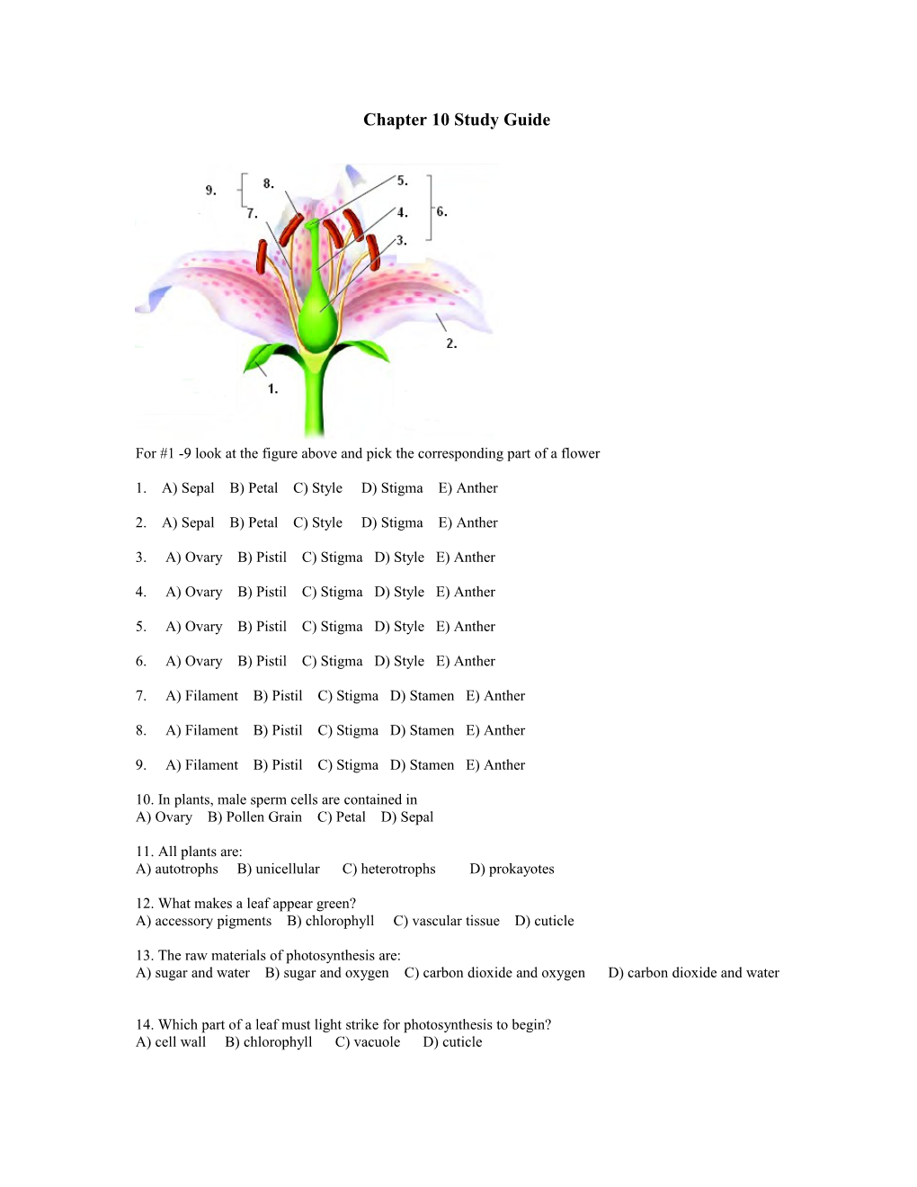 Chapter 10 Study Guide