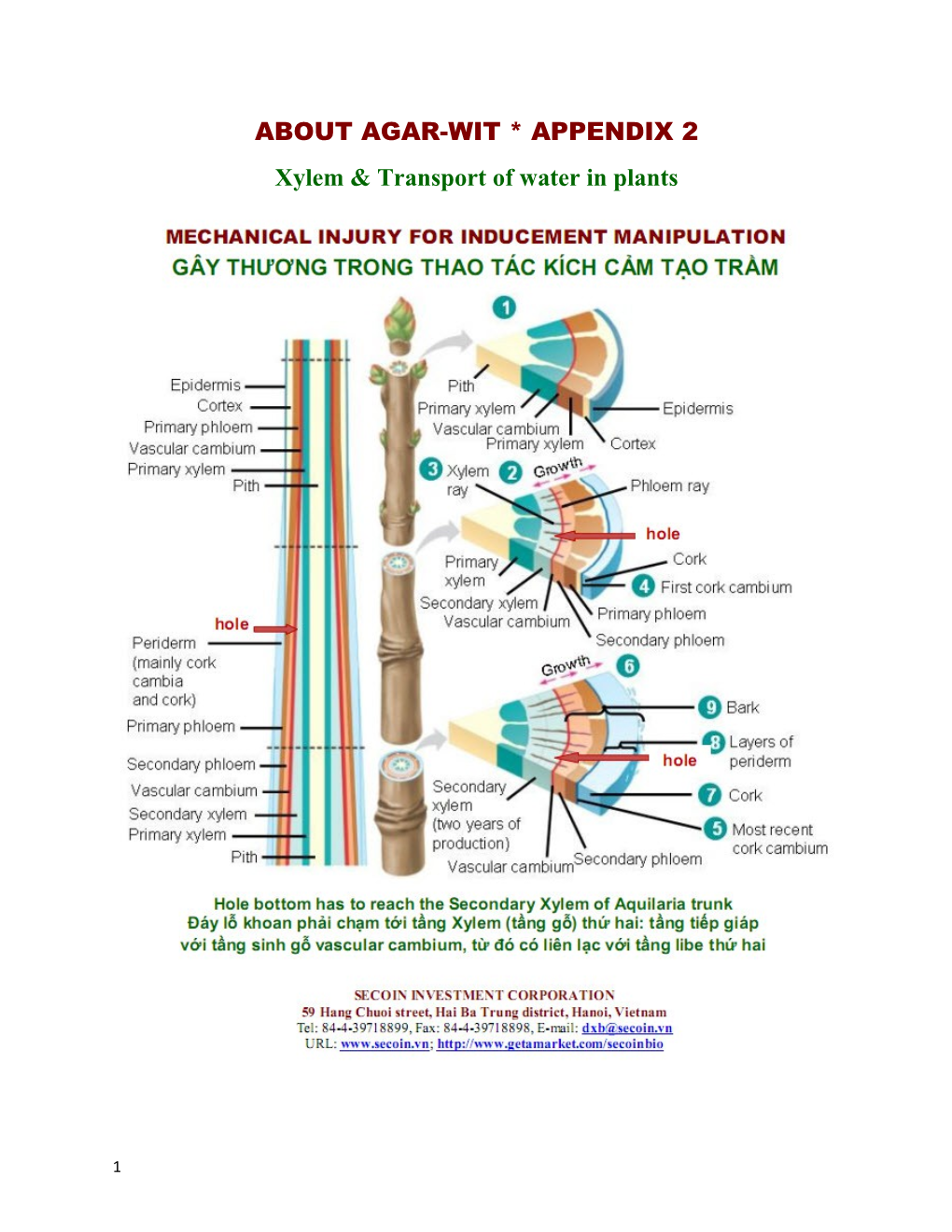 About Agar-Wit * Appendix 2