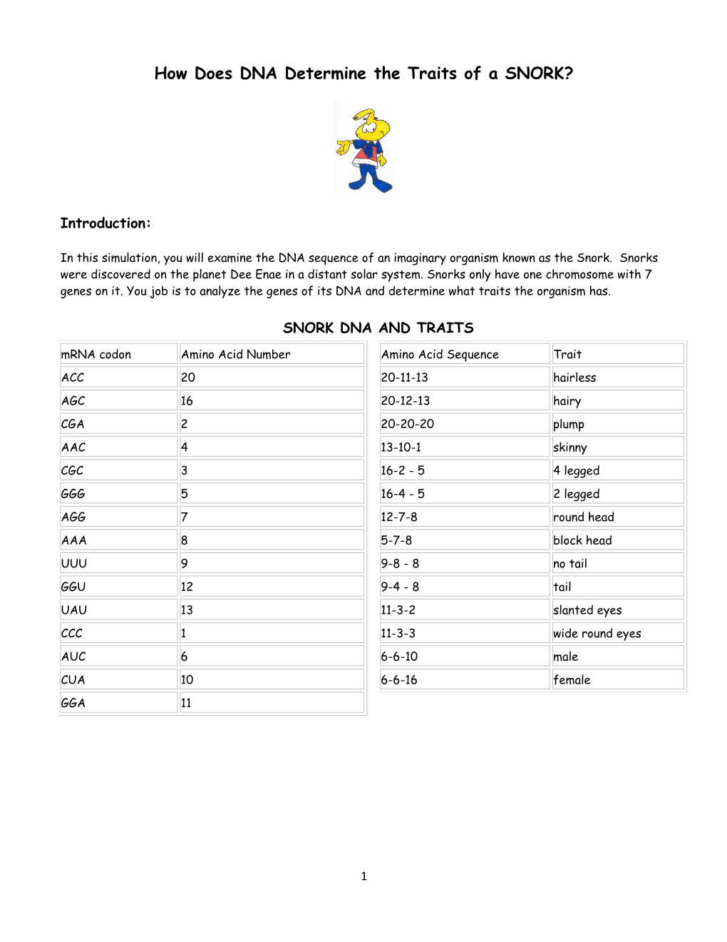 How Does DNA Determine the Traits of a SNORK