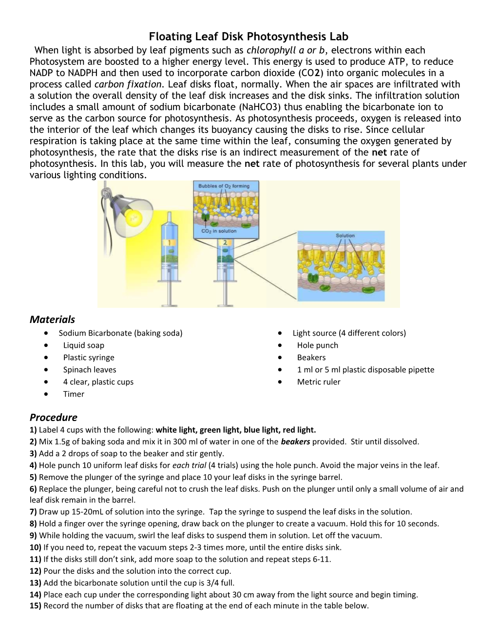 Floating Leaf Disk Photosynthesis Lab