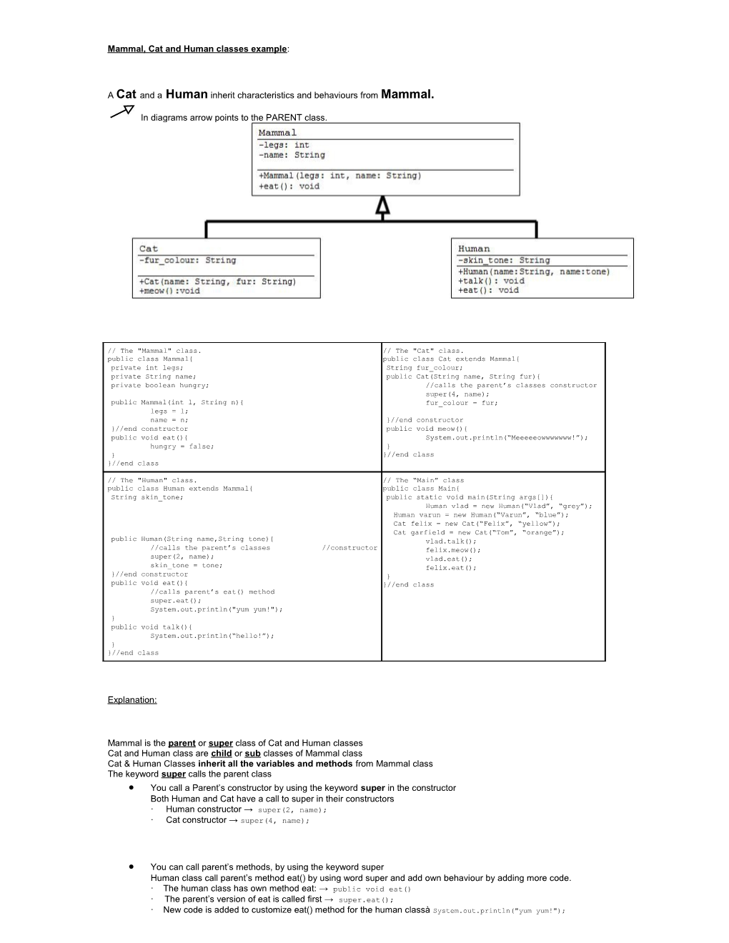 Mammal, Cat and Human Classes Example