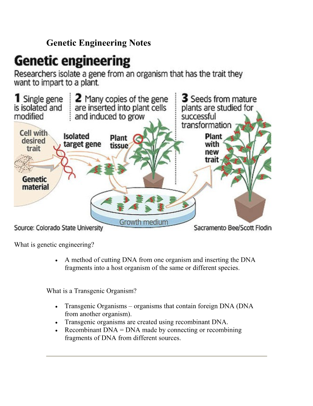 Genetic Engineering Notes