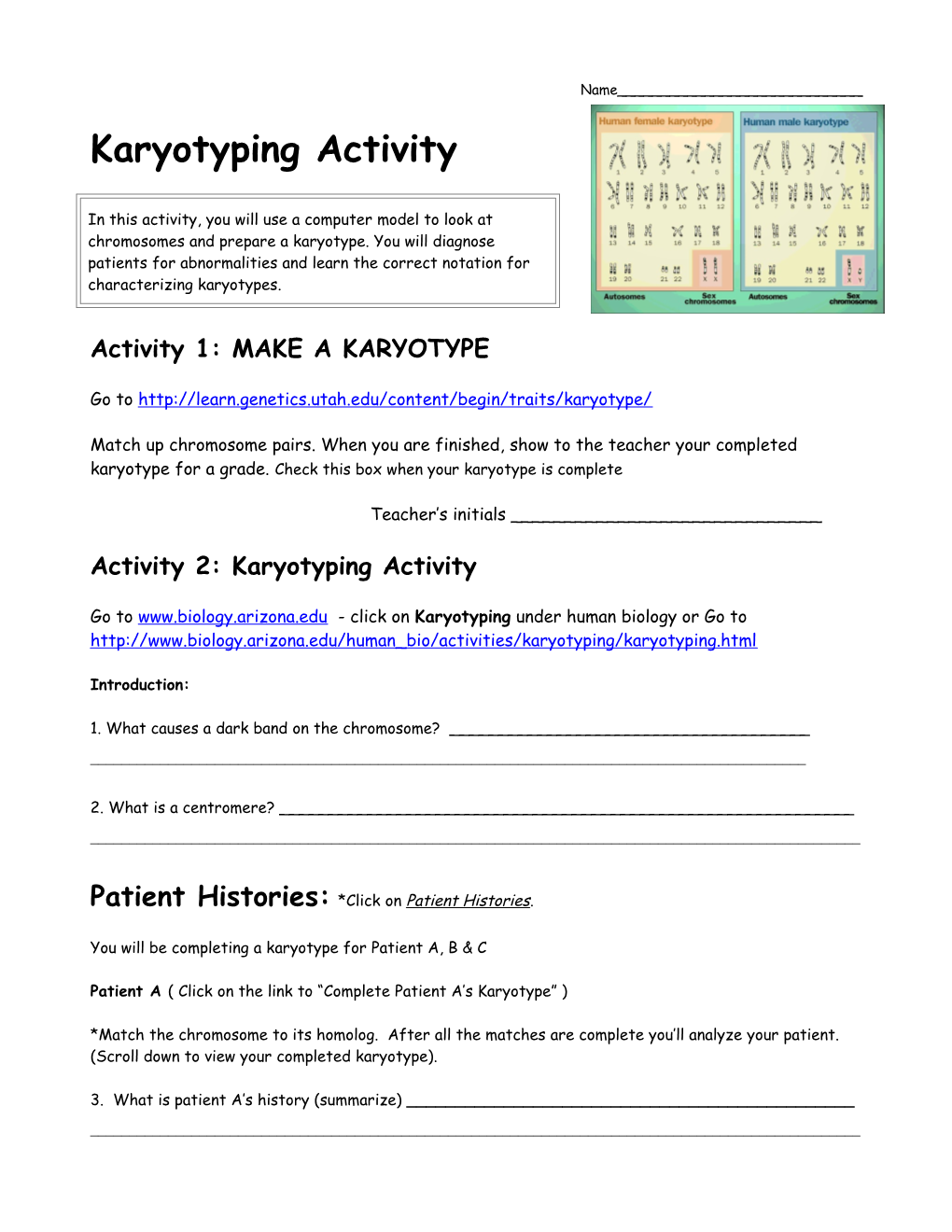 Karyotyping Activity