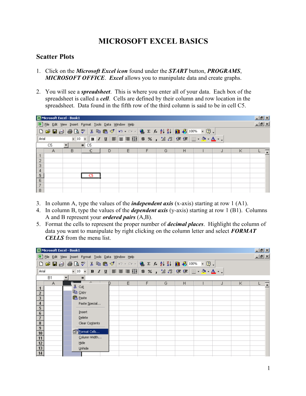 Microsoft Excel Basics