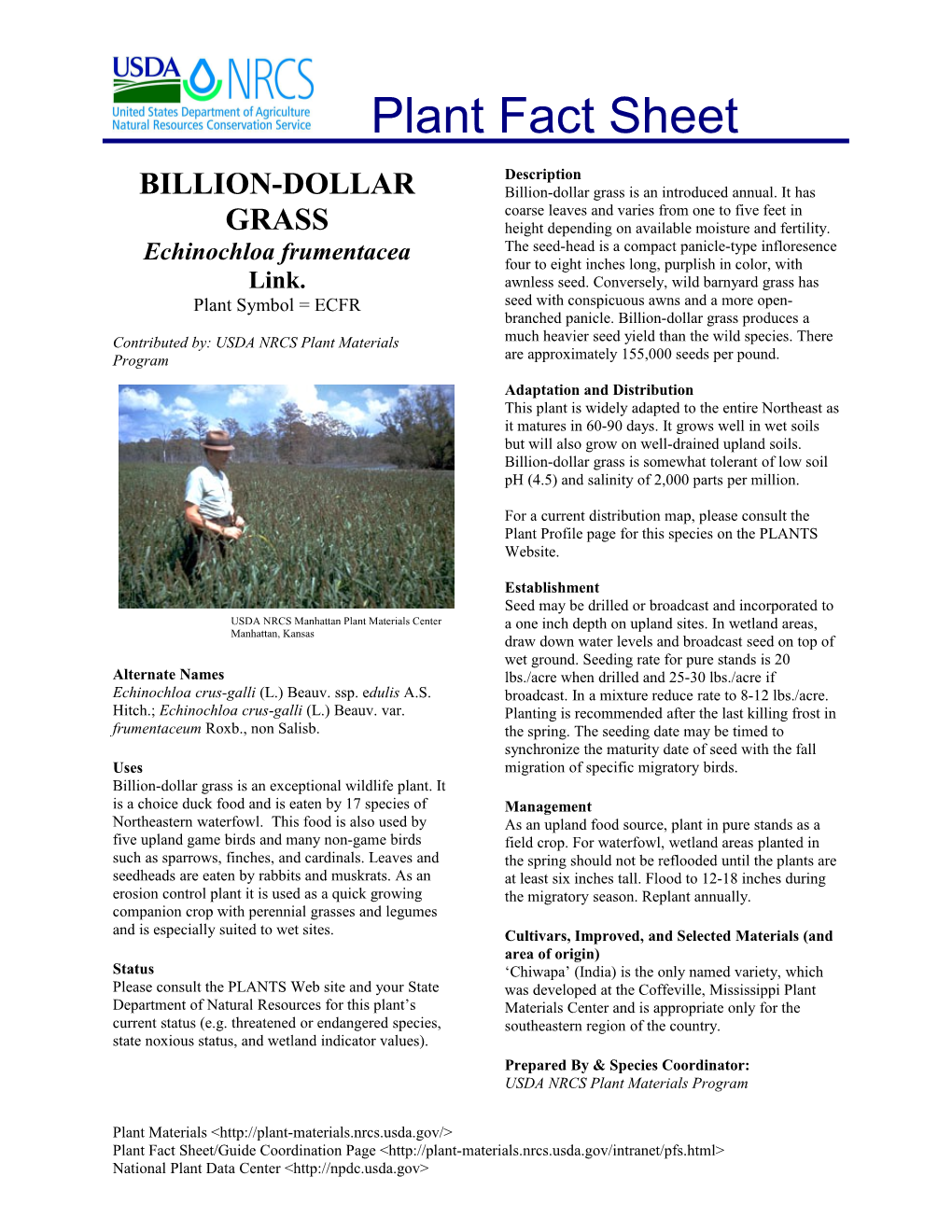 Billion-Dollar Grass