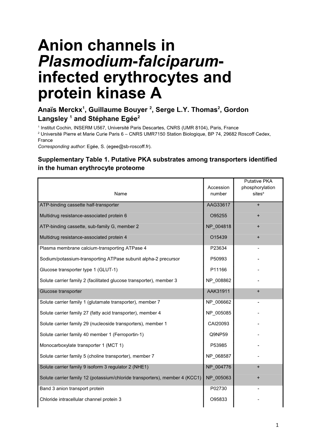 Anion Channels in Plasmodium-Falciparum-Infected Erythrocytes and Protein Kinase A