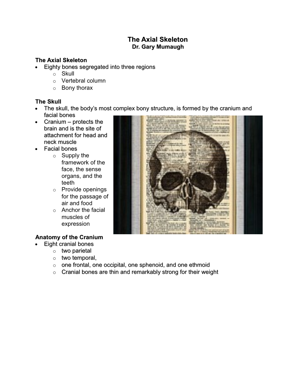 The Axial Skeleton