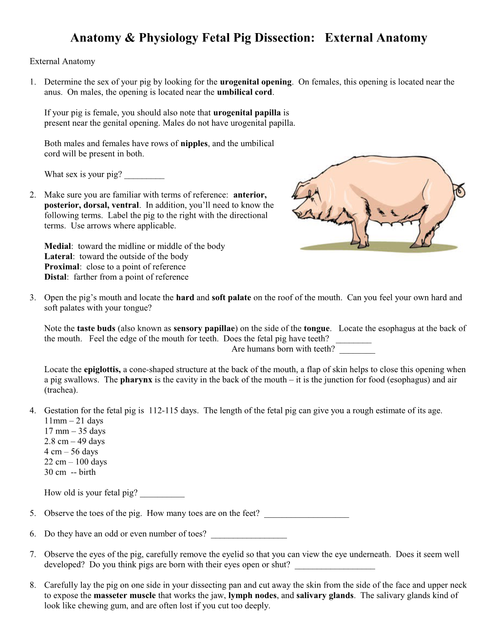 Anatomy & Physiology Fetal Pig Dissection: External Anatomy