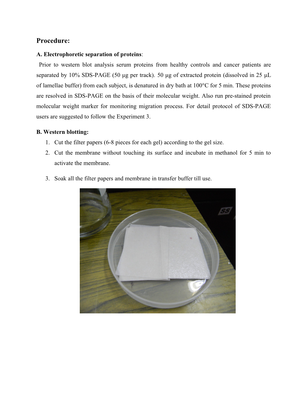 B. Western Blotting