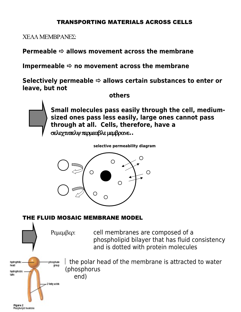 How Cells Move Materials in and Out