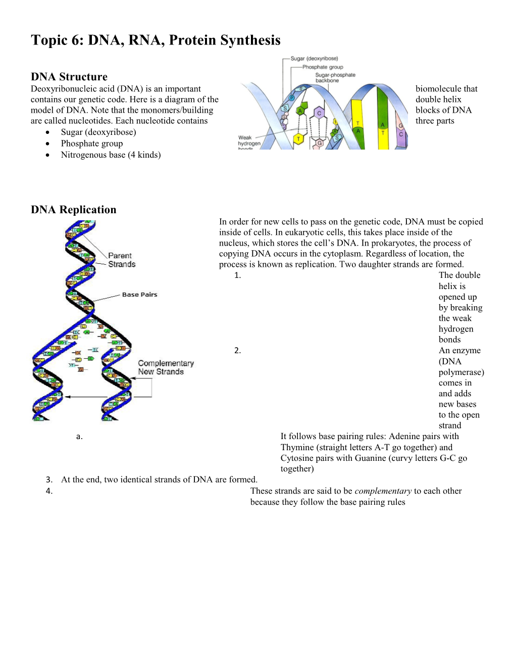 Topic 6: DNA, RNA, Protein Synthesis
