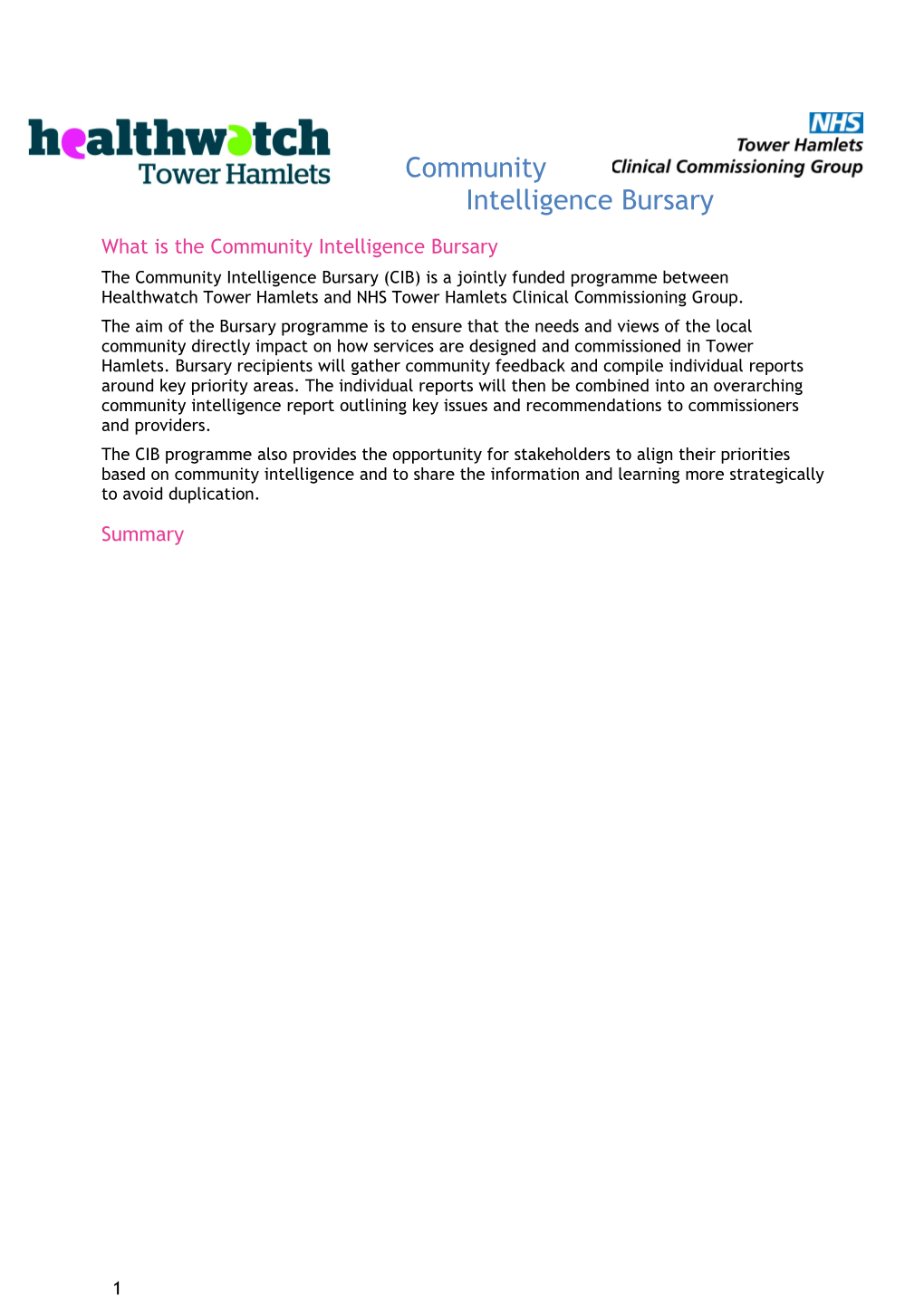 What Is the Community Intelligence Bursary