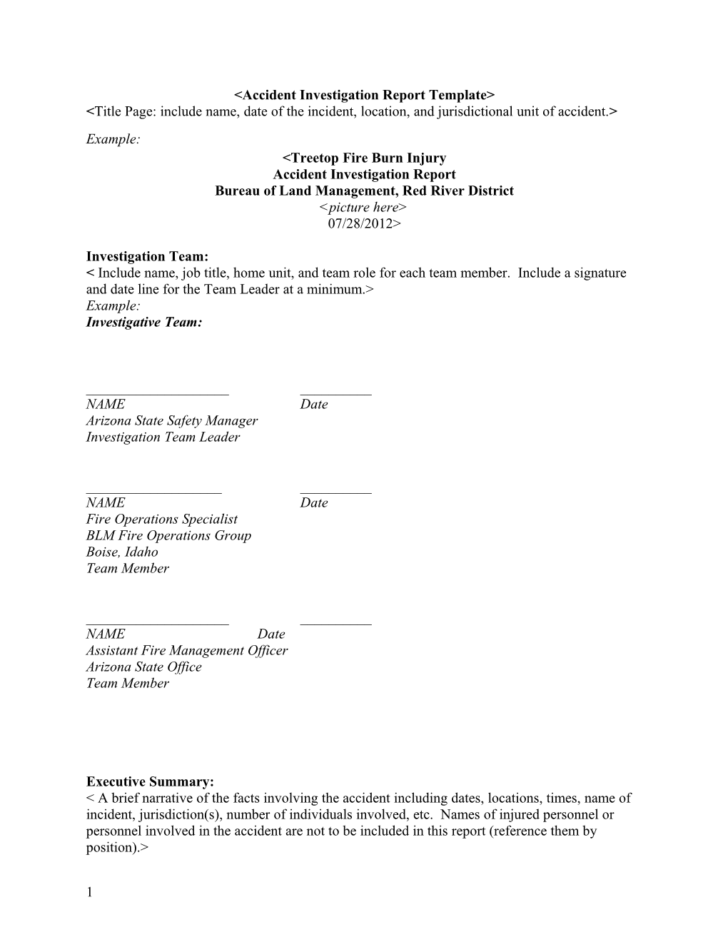 Accident Investigation Report Template&gt;