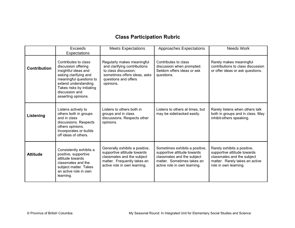 Class Participation Rubric