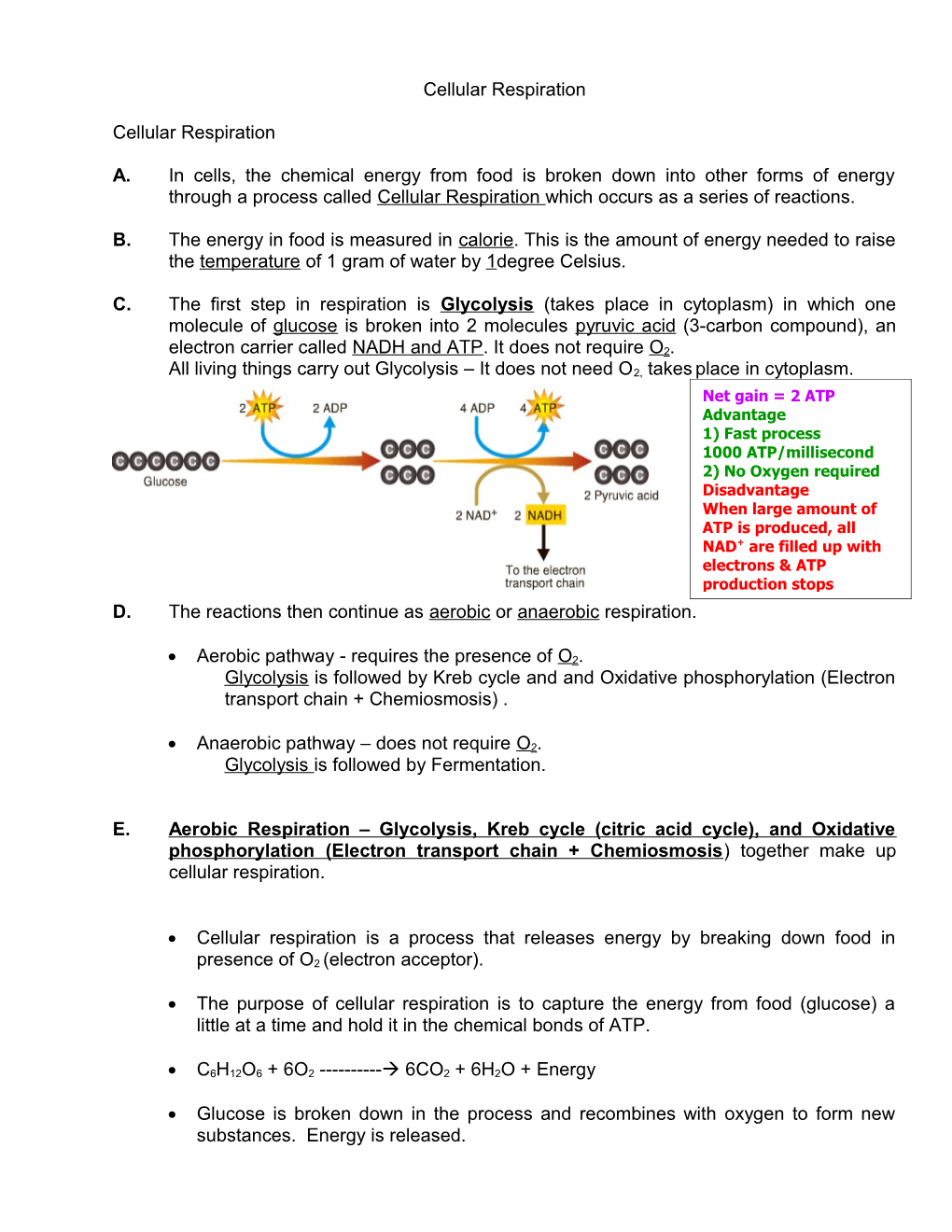 Chapter 6 Notes Photosynthesis