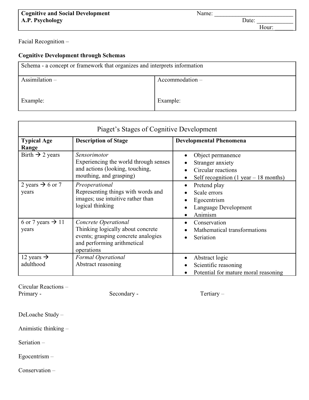 Cognitive and Social Development