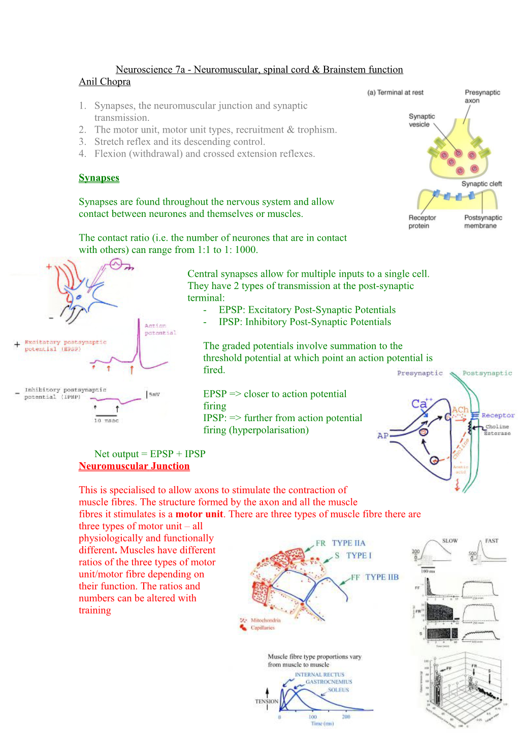 Neuroscience 7A - Neuromuscular, Spinal Cord & Brainstem Function