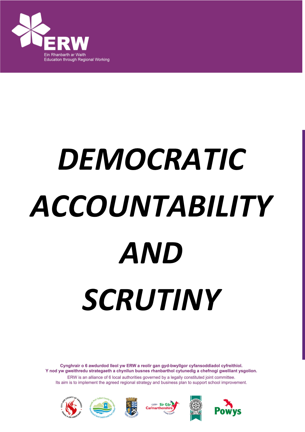 Democratic Accountability and Scrutiny