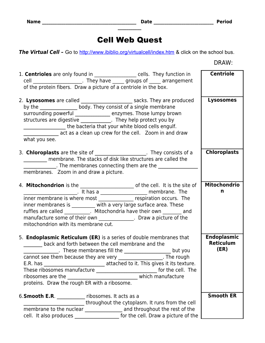 The Virtual Cell Go to & Click on the School Bus