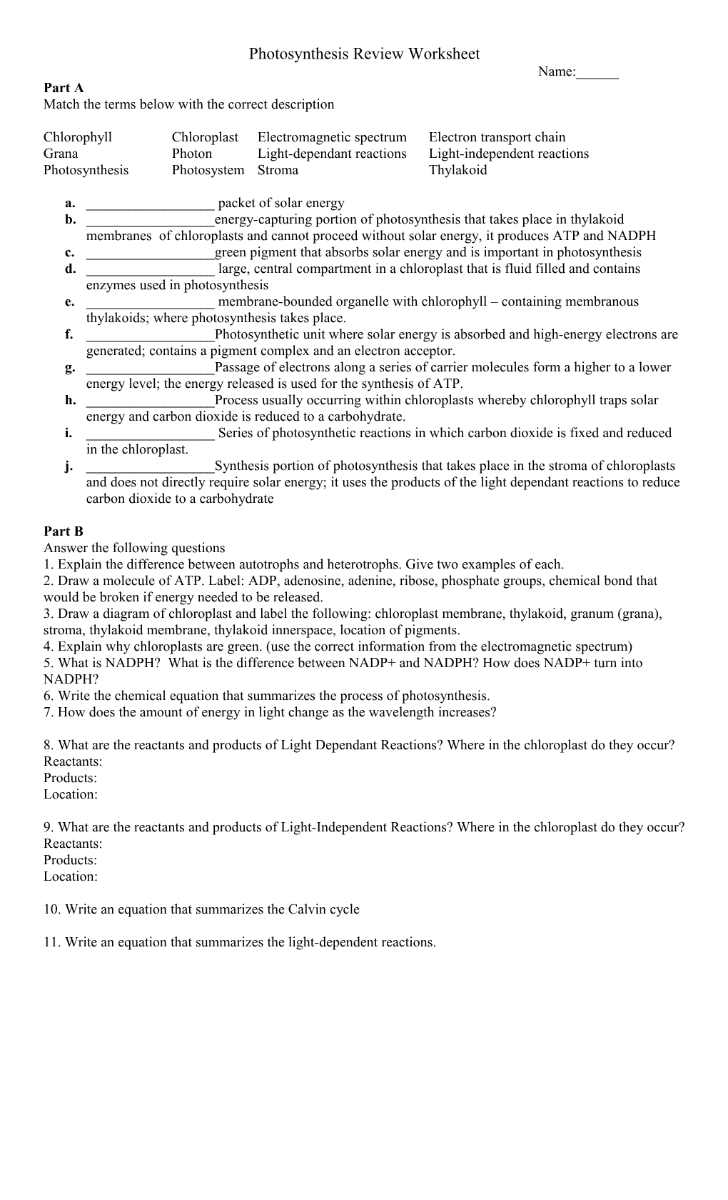 Photosynthesis Review Worksheet s1