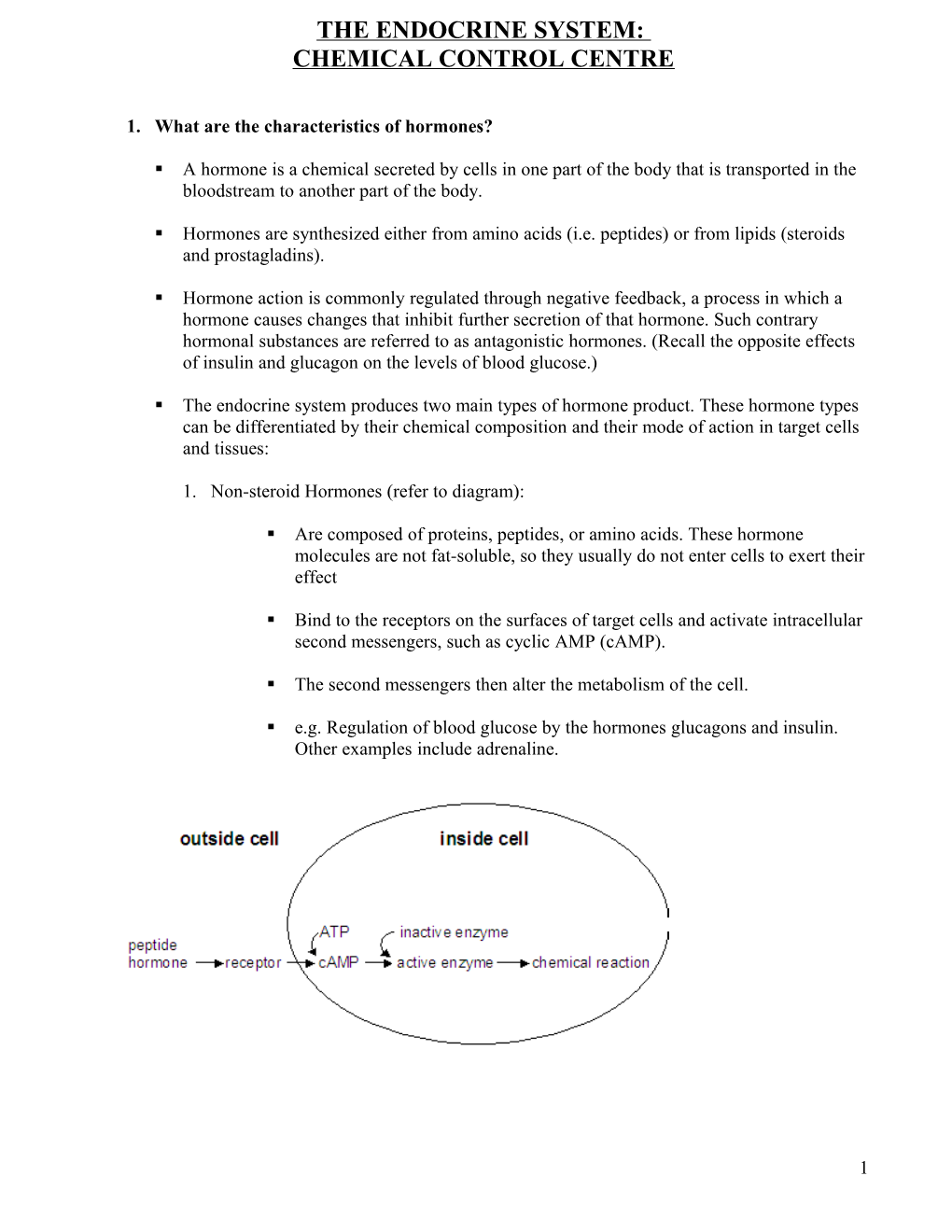 The Endocrine System