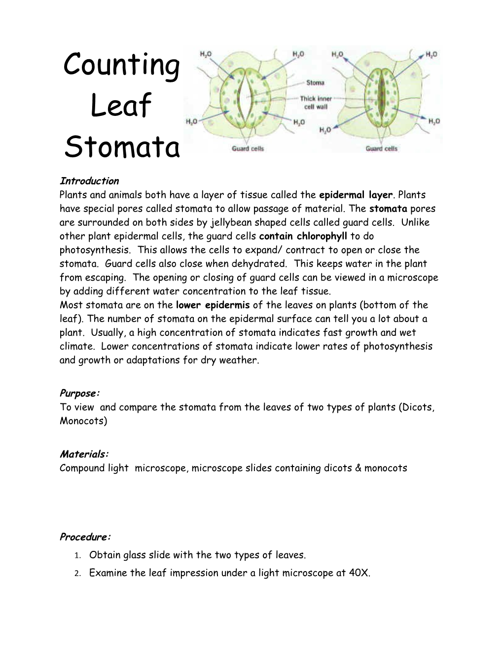 1. Obtain Glass Slide with the Two Types of Leaves