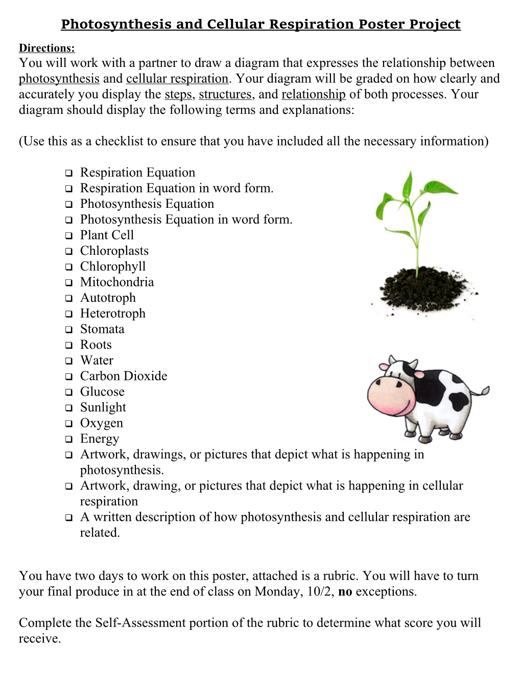 Photosynthesis and Cellular Respiration Poster Project