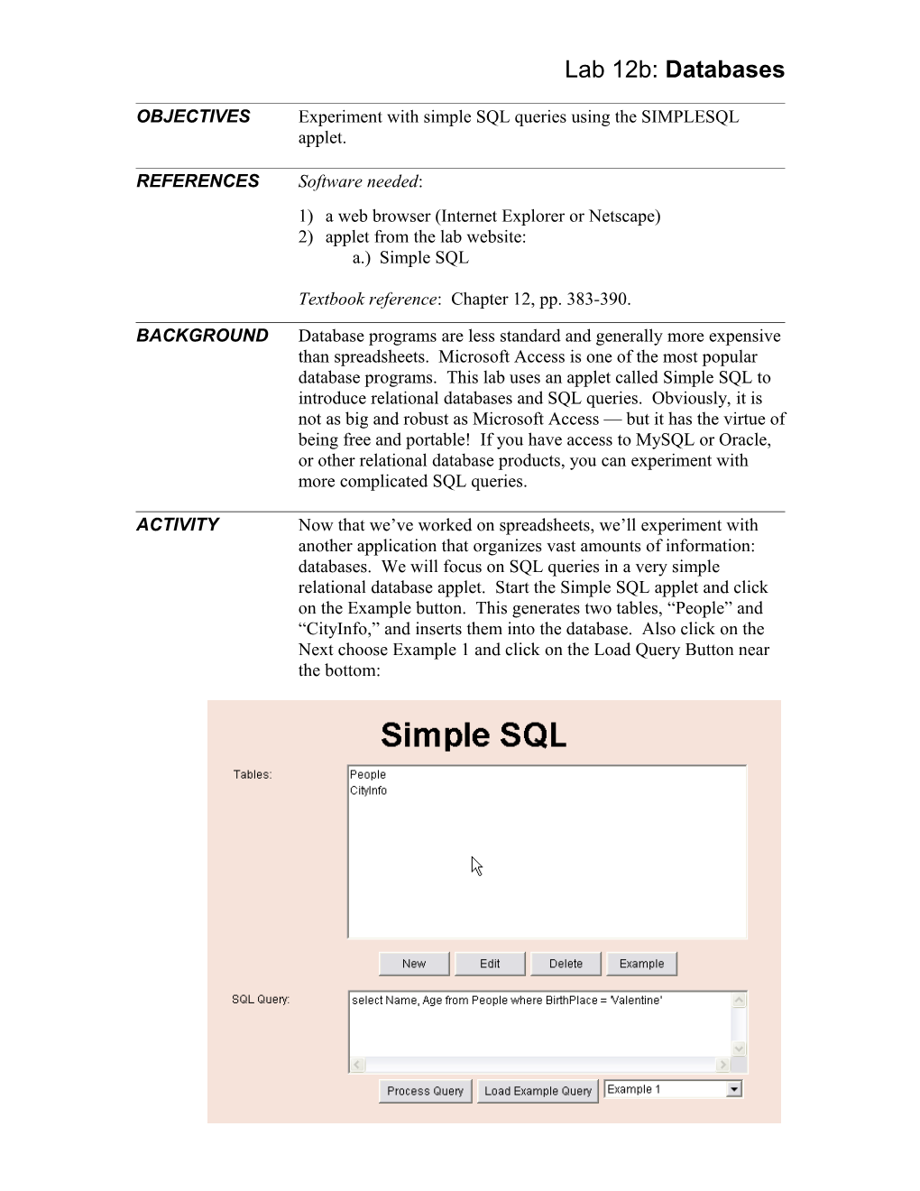 Lab 12: Information Systems