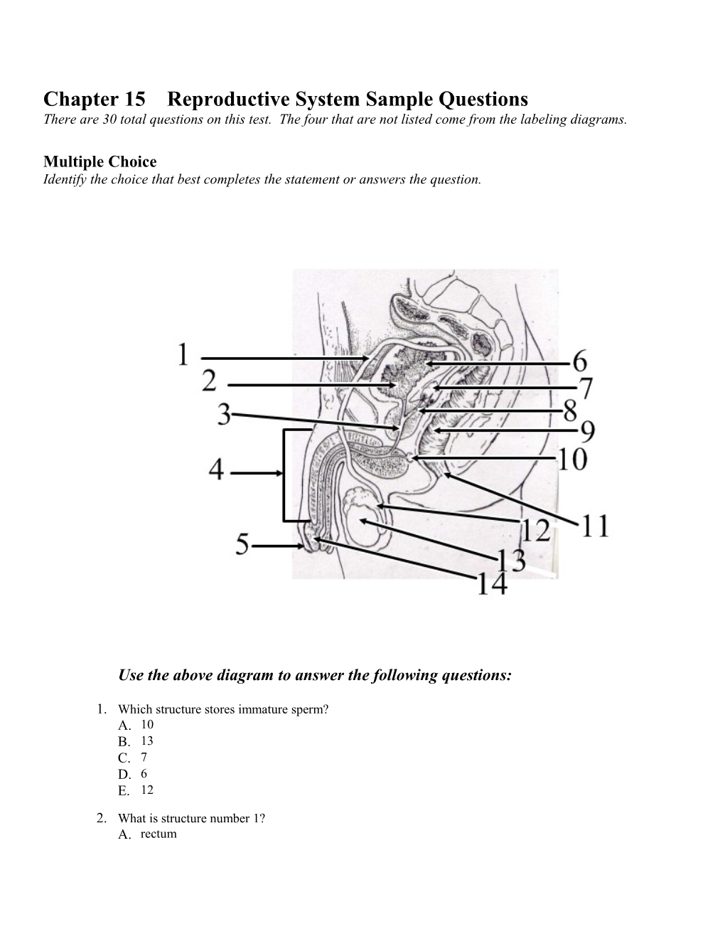 Chapter 15 Reproductive System Sample Questions