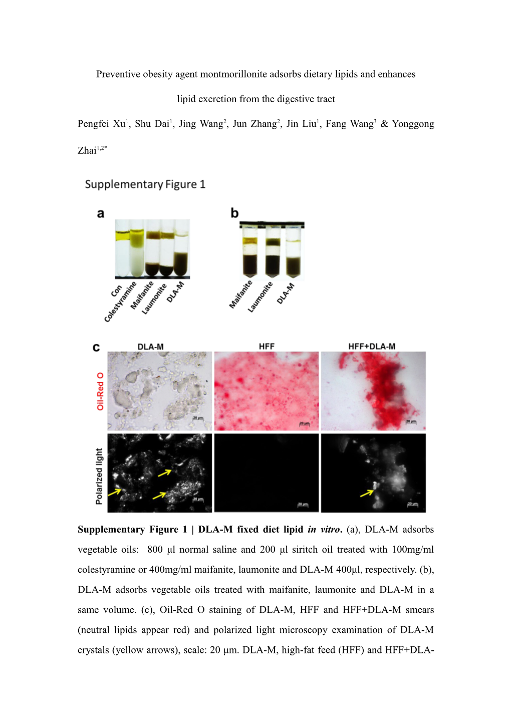 Preventive Obesity Agent Montmorillonite Adsorbs Dietary Lipids and Enhances