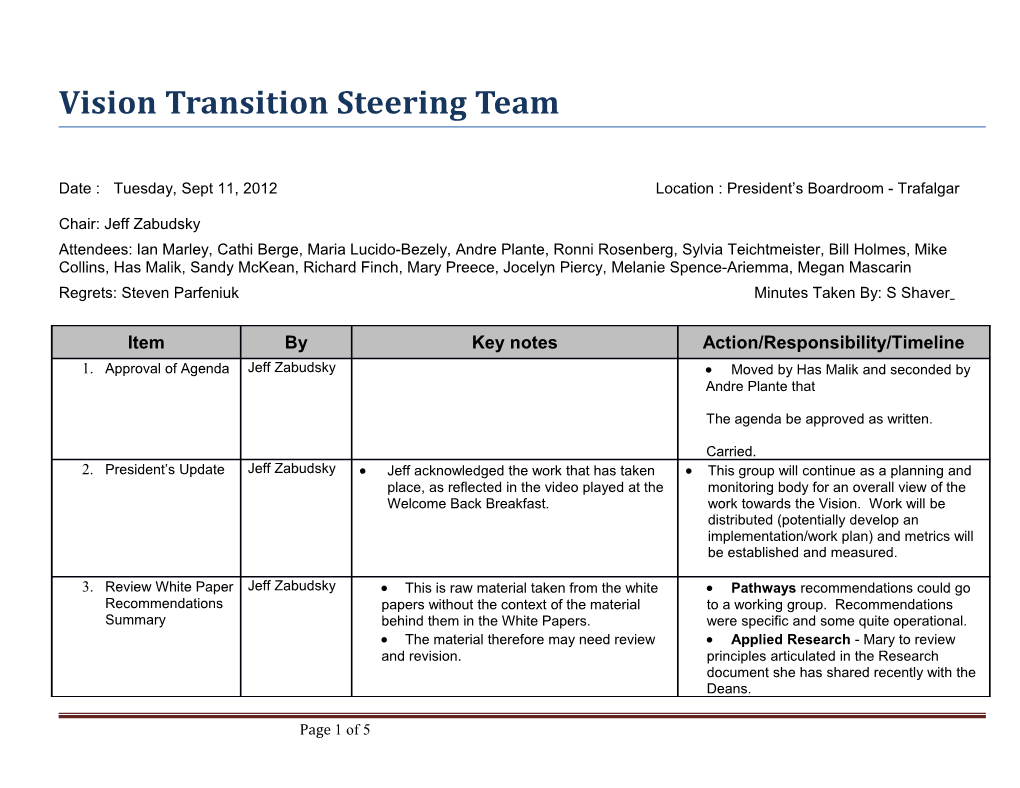 Vision Transition Steering Team