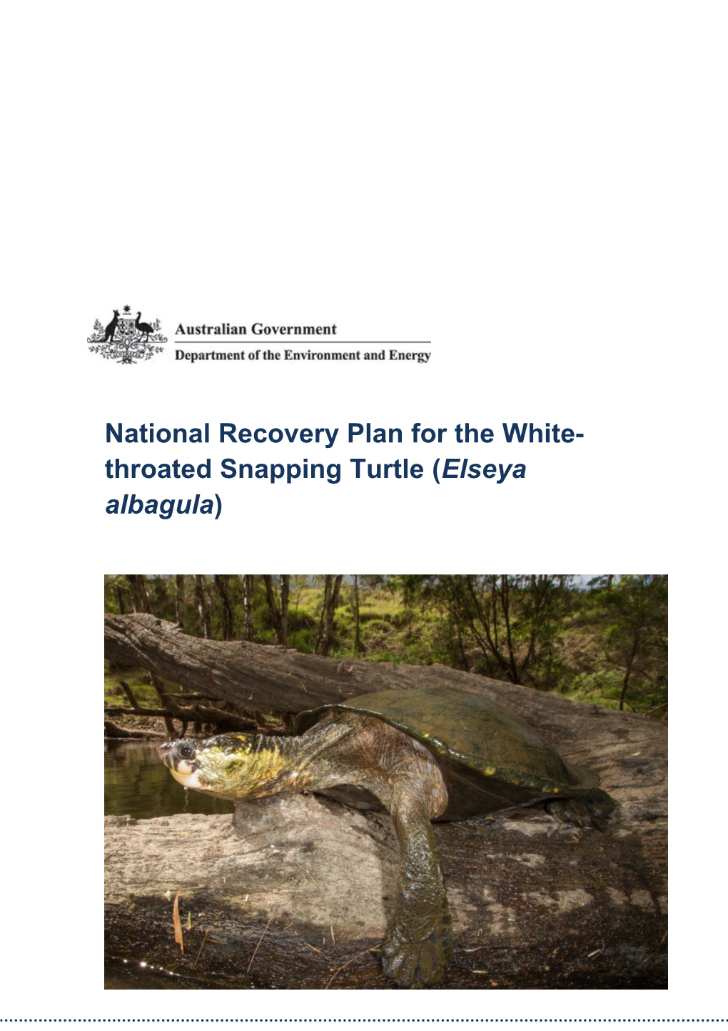 Draft National Recovery Plan for the White-Throated Snapping Turtle (Elseya Albagula)