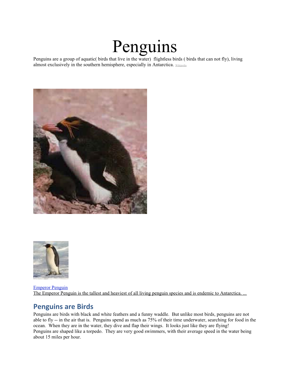 Penguins Are a Group of Aquatic( Birds That Live in the Water) Flightless Birds ( Birds