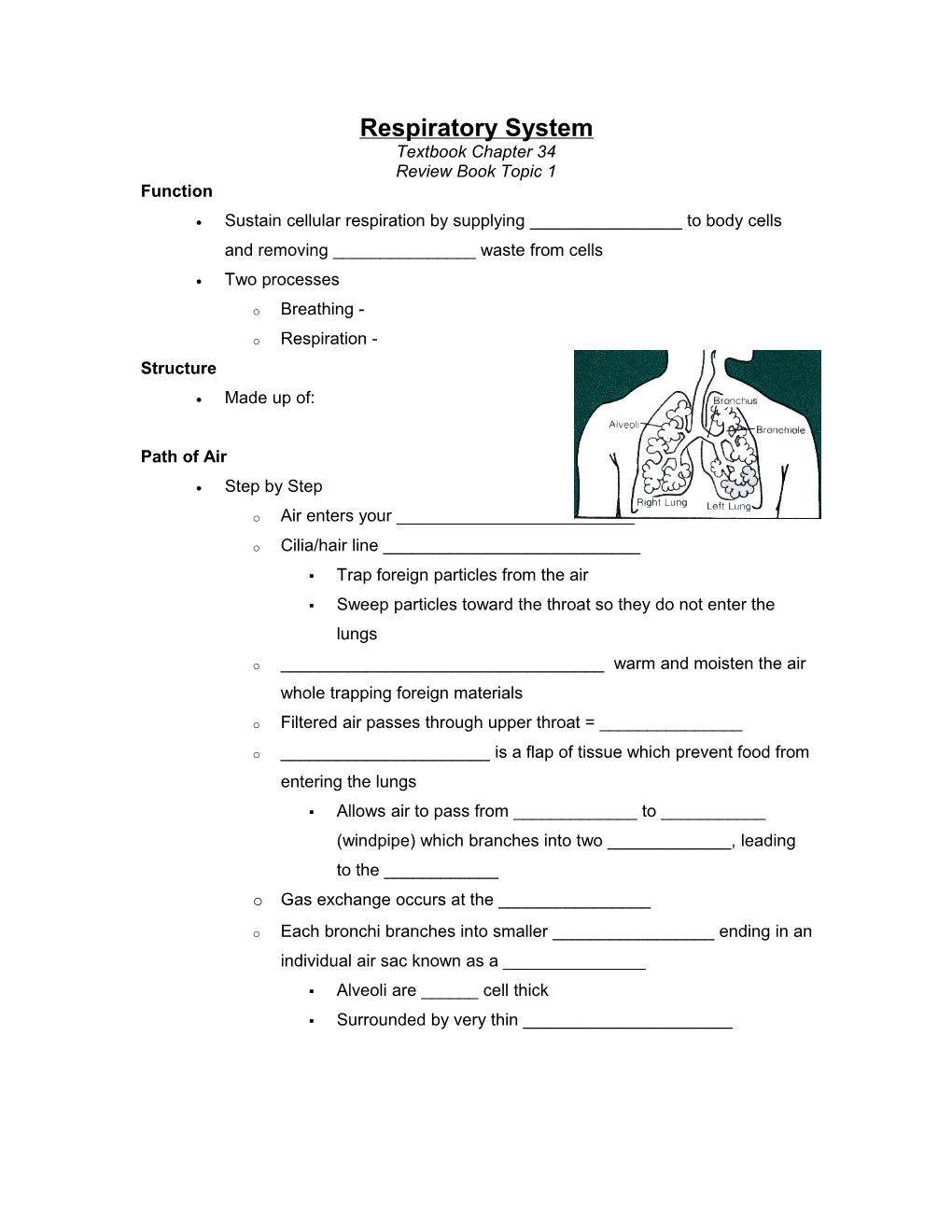 Respiratory System s1