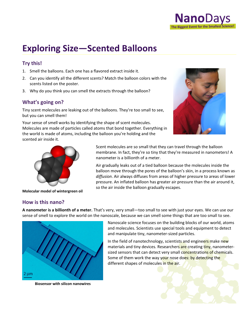 Exploring Size Scented Balloons