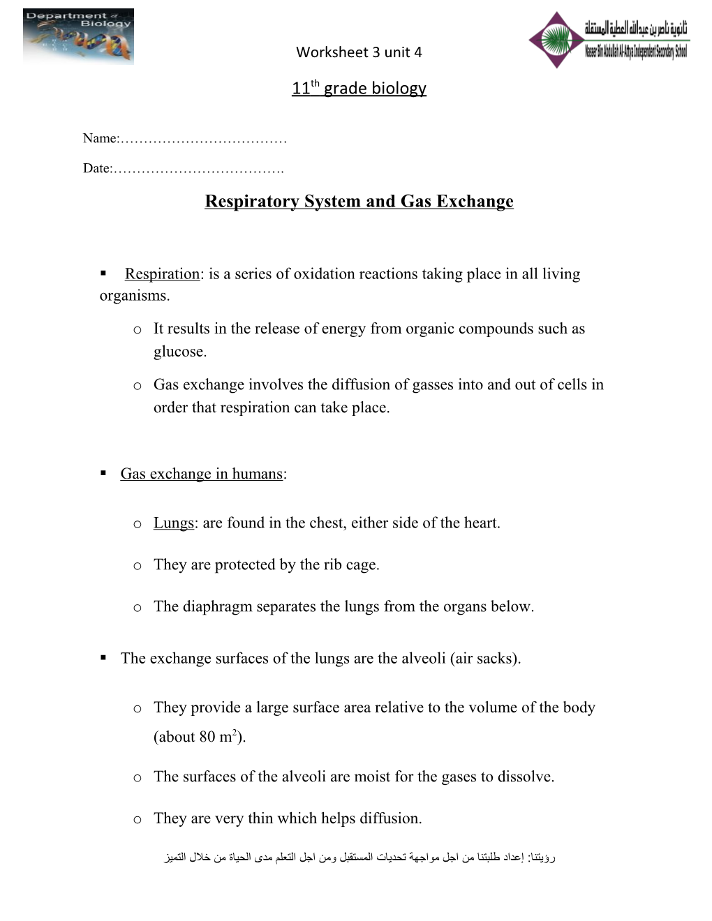 Respiratory System and Gas Exchange