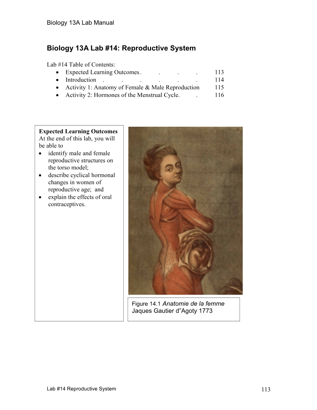 Biology 13A Lab #14: Reproductive System