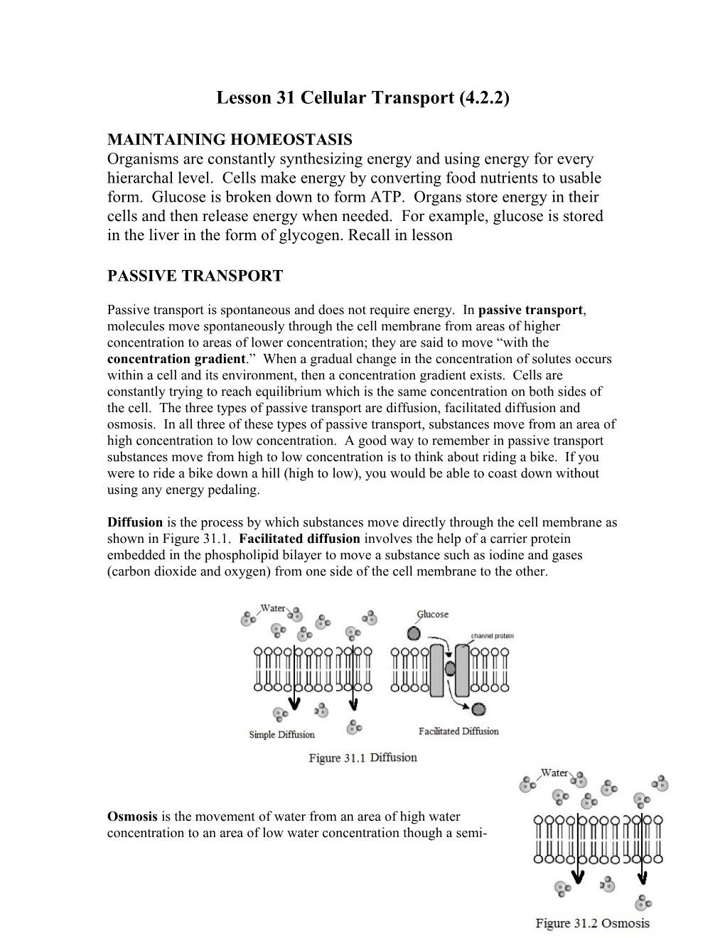 Lesson 31 Cellular Transport (4